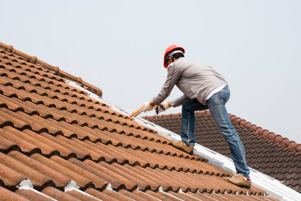 Best Roof Insulation Installation  in Poquonock Bridge, CT
